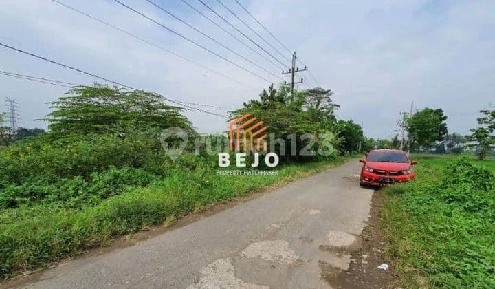 Dijual Tanah Pekarangan Di Godean Akses Jalan Papasan
