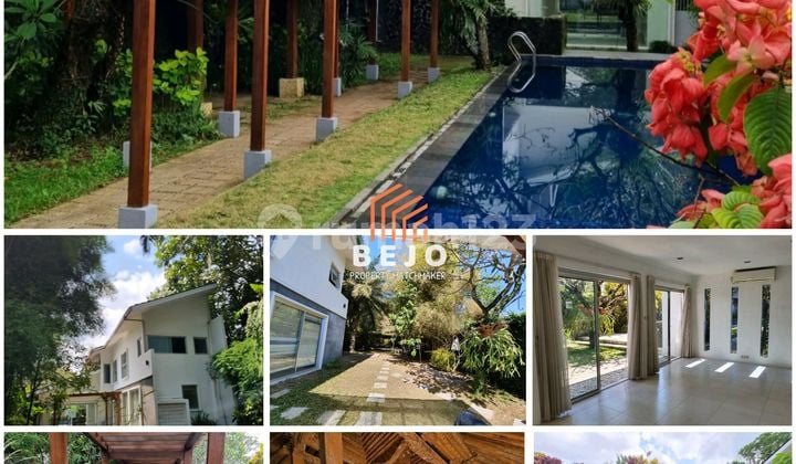 Dijual Rumah Mewah Asri Dgn Kolam Renang Cocok Homestay