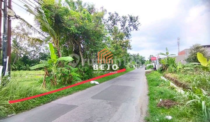 For Sale: Strategic Vacant Land Ready to Build Near Hyatt