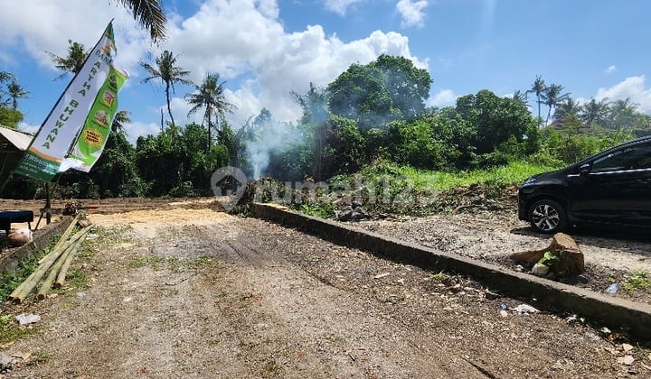 Tanah Kavling View Sawah Dan Sungai ,pering, Gianyar