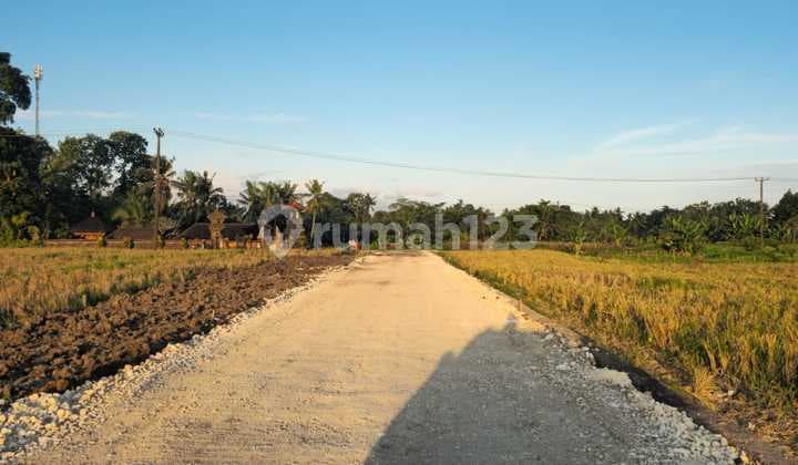 Tanah Kavling Ekonomis ,senapahan ,kediri.tabanan Jalan Utama