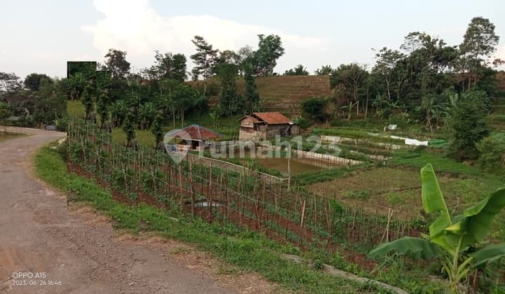 Tanah Strategis Lokasi Sejuk di Cibungur, Soreang