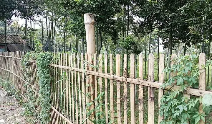 Tanah Luas 15000m2 Cocok Untuk Investor di Kutawaringin