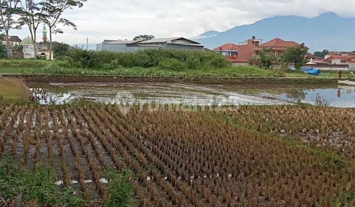 Tanah Luas Cocok untuk Perumahan di Soreang