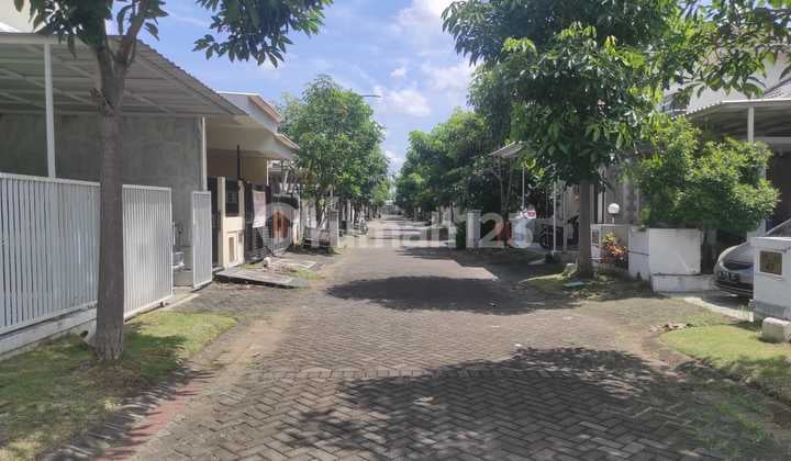 Minimalist House Puri Surya Jaya, Gedangan Sidoarjo