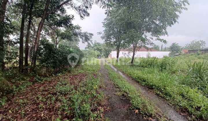 Dekat Akses Tol, Tanah, Dekat Tempat Ibadah, Bebas Banjir