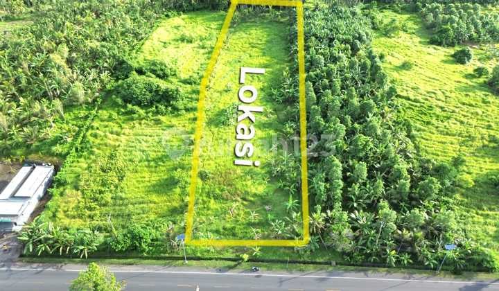 Denpasar Gilimanuk Jembrana Land