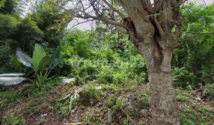 Bali Arum Land Jimbaran