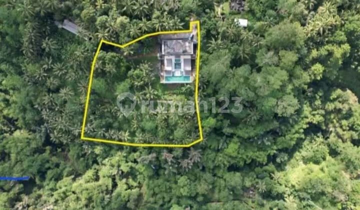 Villa Mewah View Jugle Tampaksiring Ubud
