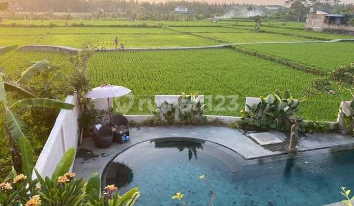 villa view sawah mas ubud