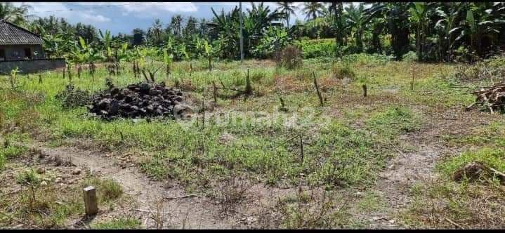 Tanah pantai saba gianyar