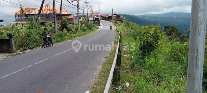 Tanah kintamani bangli