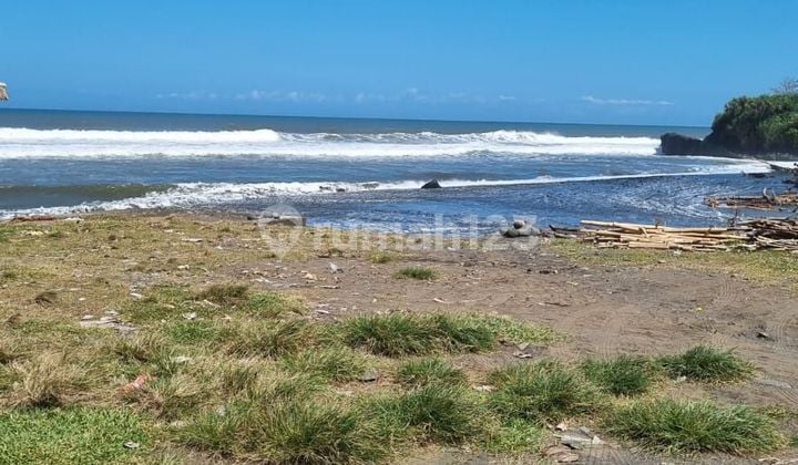 Tanah los pantai beraban tabanan