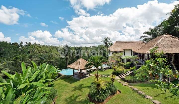 villa komersil tegalalang ubud