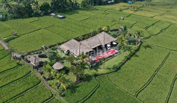 villa with view of Tegalalang rice fields, Ubud