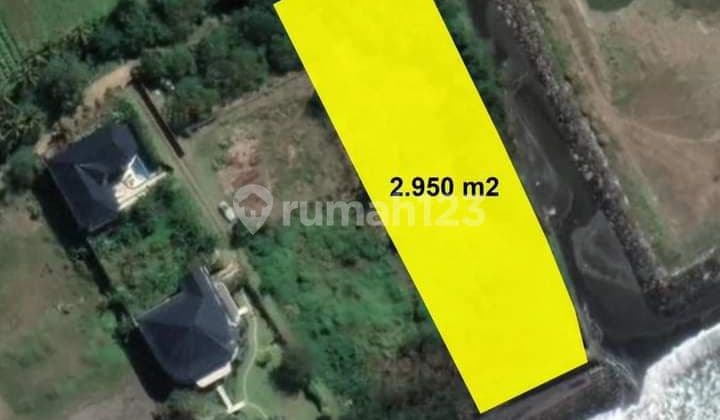 Tana los pantai purnama sukawati