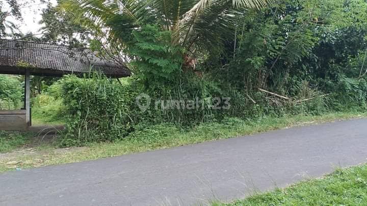 Tanah baturiti Tabanan