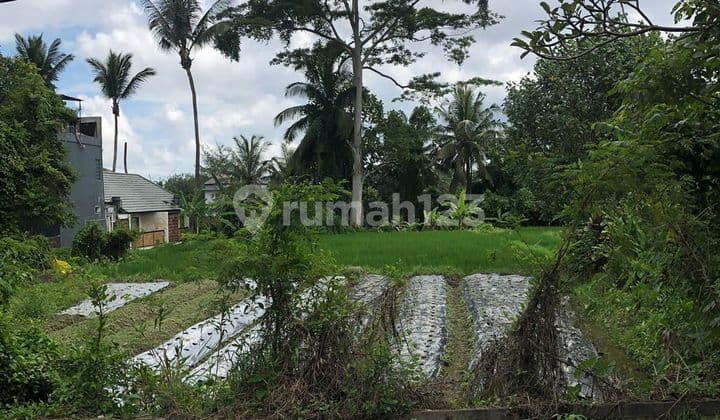 Tanah tirtawar ubud bali