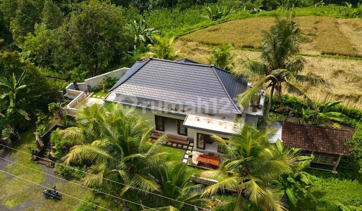 Villa view sawah sanding pejeng ubud