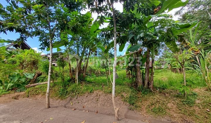 Tanah Kawasan Villa Pejeng Dekat Ubud