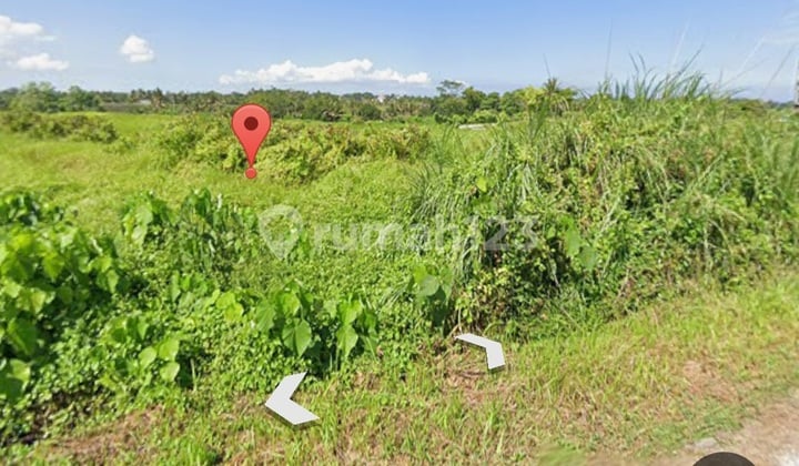 Kedungu Beach Plot Land Tabanan