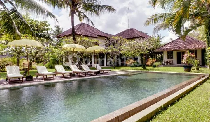 Villa Bumba Umalas Kerobokan