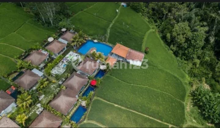Villa Komersil Tegalalang Ubud Bali