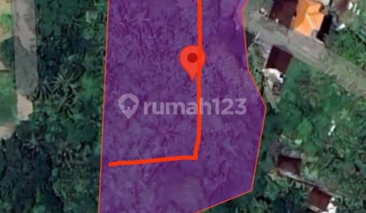 Land in Bongan Near Yeh Gangga Tabanan