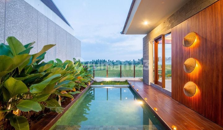 Villa View Sawah Londtunduh Ubud