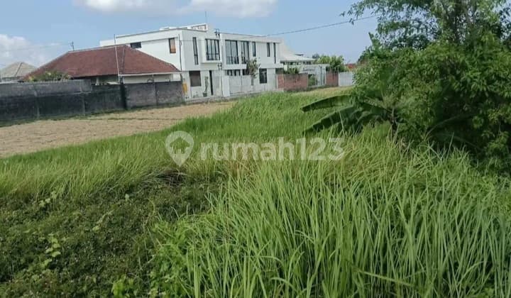 Tanah Pinggir Jalan Tegal Cupek Umalas