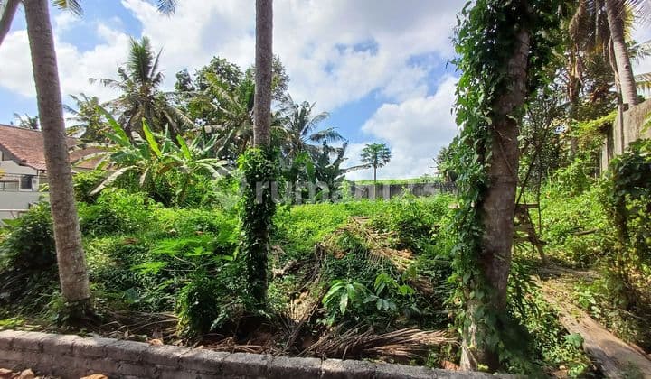 Tanah View Sawah Sungai Ubud