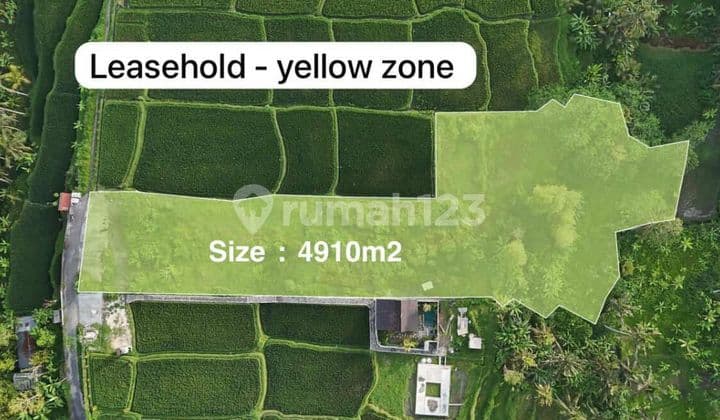 Tanah View Sawah Tegalalang Ubud