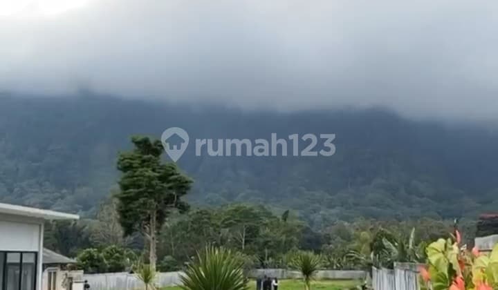 Commercial Land Bedugul Tabanan