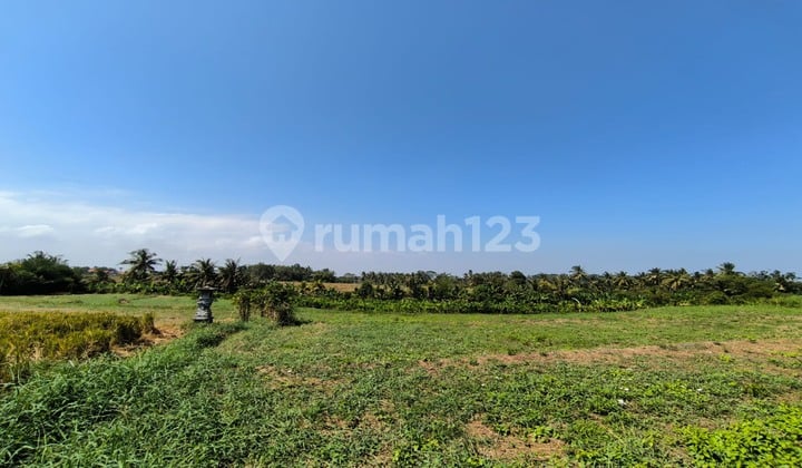 Dijual Tanah Kavling View Sawah di Jln Yeh Gangga Gubug, Tabanan