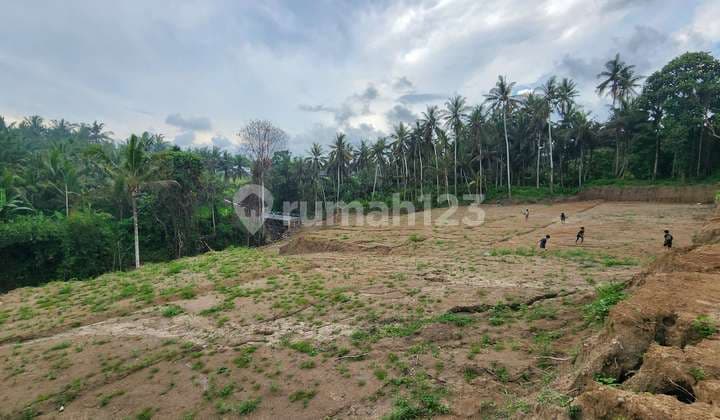 Tanah Kavling Premium View Sawah & Lembah Cocok Untuk Villa Saba