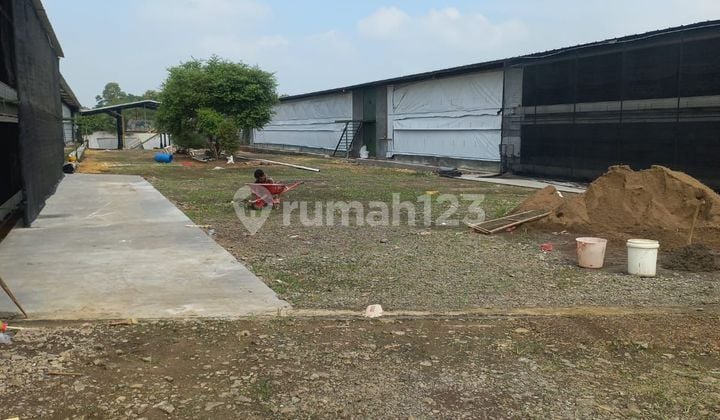 Lahan Plus Peternakan Ayam Furnish Di Subang