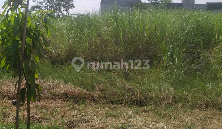 Tanah Jeruk Sidoarjo Murah Ang.a063