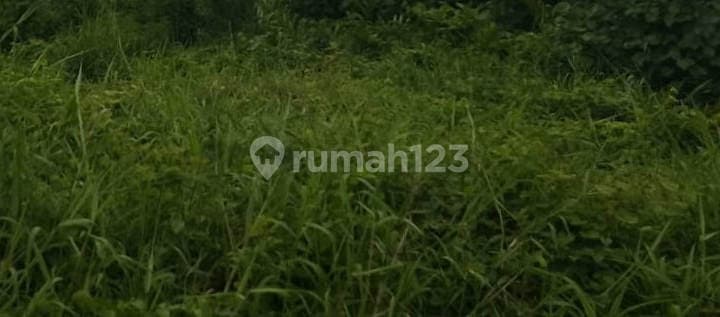 Anah Medokan Sawah Rungkut Surabaya Murah Ang.a007