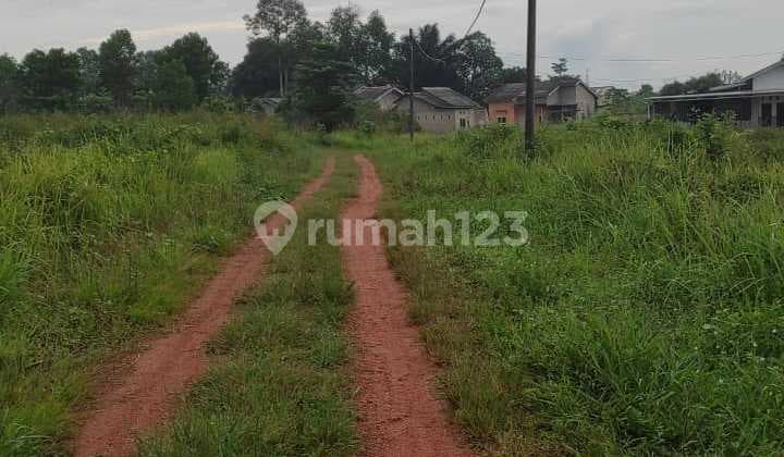 Dijual Kavling Tanah Ukuran 8 x 16 m Jalan Taib Kampung Dul Pangkal Pinang Bangka