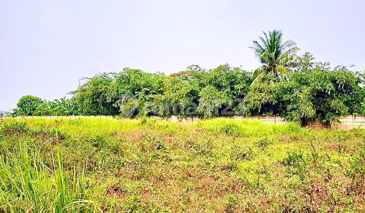 Tanah Strategis Walantaka Banten Serang Utk Gudang Pabrik Sdh Cor