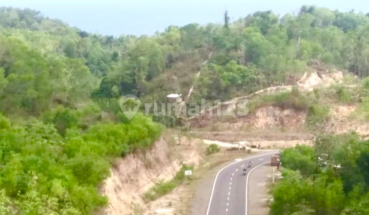 Kavling Pantai 3.84ha Cuma 350rb/m2 Depan Pantai Indrajanti Jogja Utk Beach Club/villa