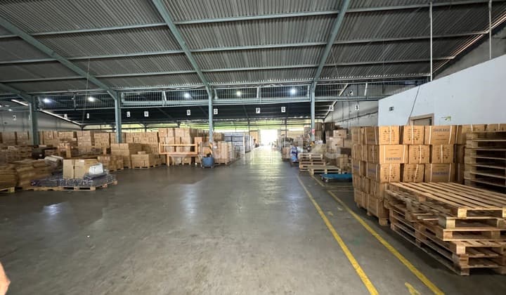 Jual Gudang 8000 M2 Epoxy Strategis Full Tersewa Peternakan Cengkareng