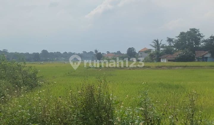 Jual Tanah Strategis Dekat Kawasan Industri Legok, Tangerang SHM