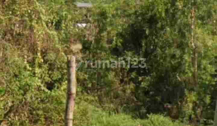 Cerme Industrial Land