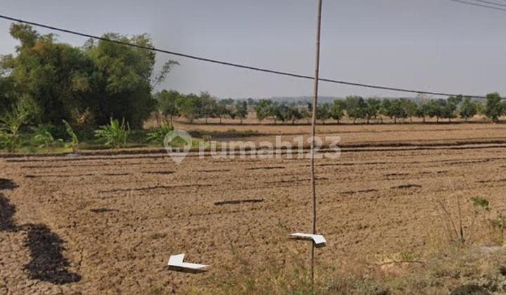 Dijual Tanah Jl Propinsi Lamongan