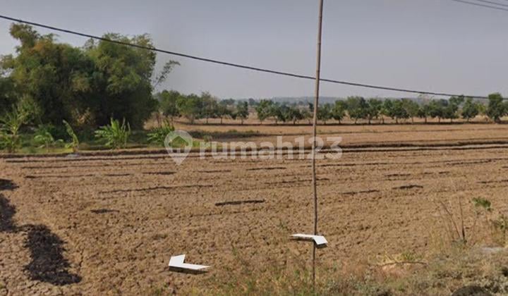 Dijual Tanah Jl Propinsi Lamongan