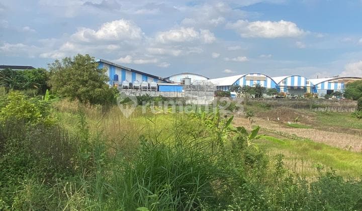Driyorejo Kedamean Gresik Industrial Warehouse Land