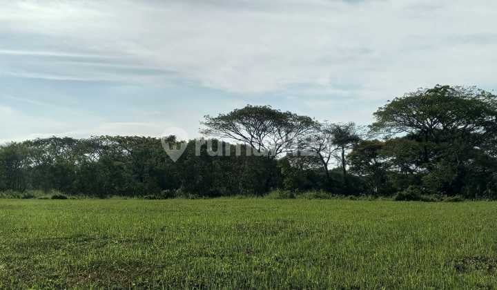 Kavling Bukit Golf Citraland Golf View