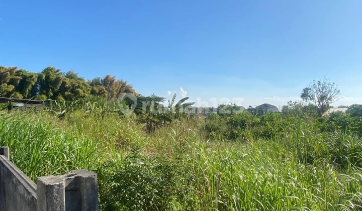 Zero Land, Menganti Commercial Main Road.