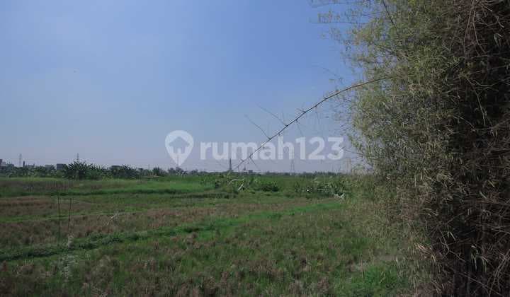 Tanah Komersial Nol Jalan Raya Menganti Gresik